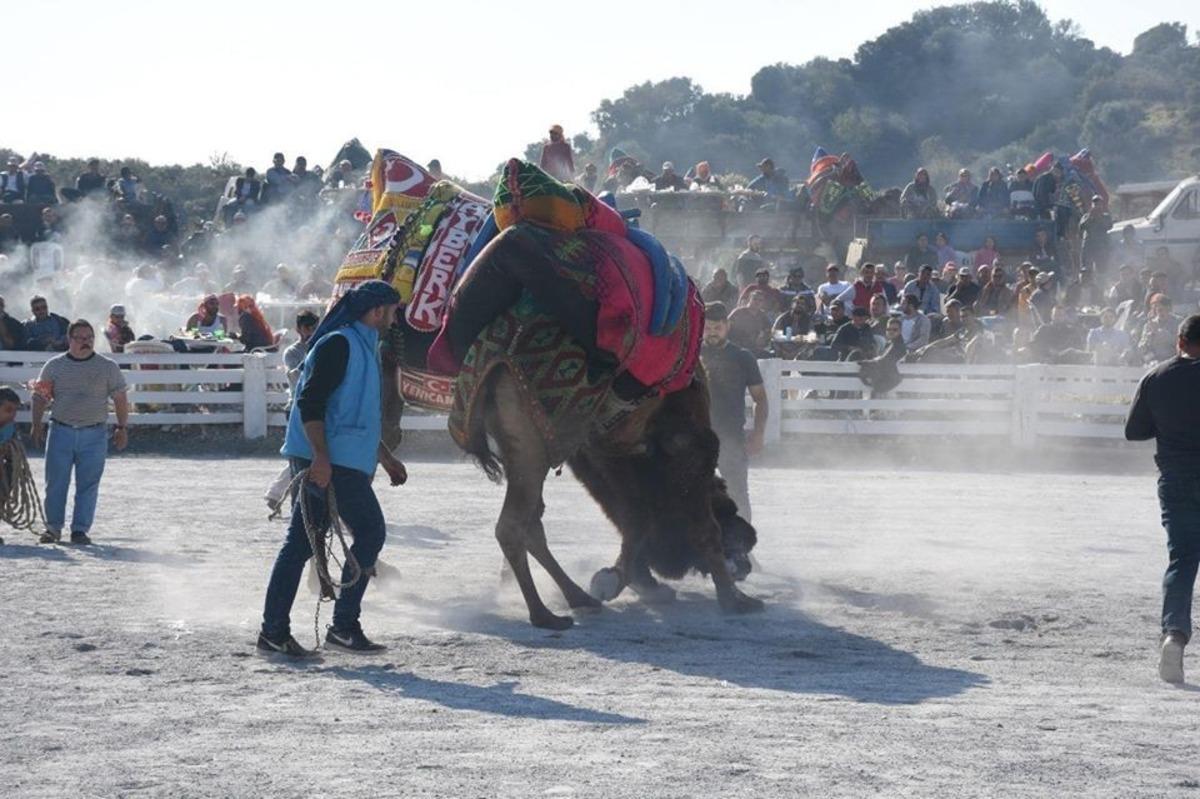 Germencik&rsquo;de develer &rsquo;g&uuml;venlik&rsquo; i&ccedil;in g&uuml;reşti