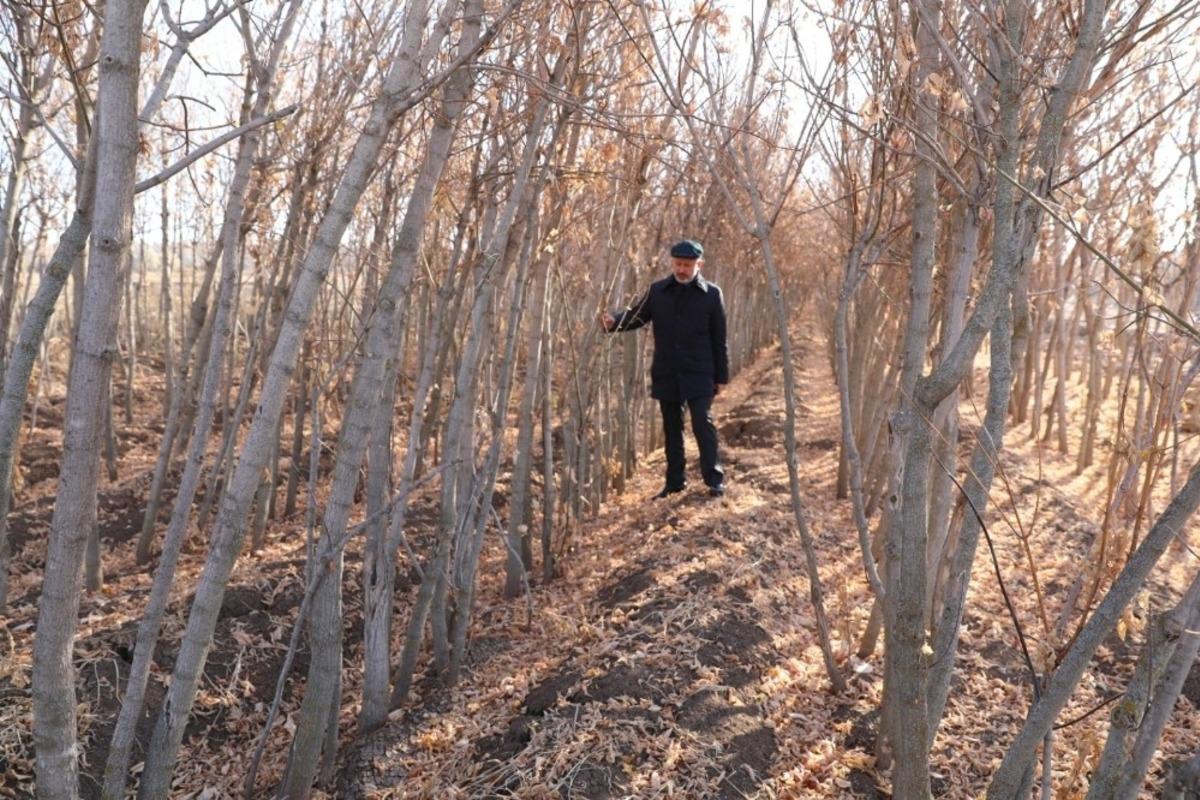 Başkan &Ccedil;olakbayrakdar, &ldquo;Daha Yeşil Bir Kocasinan İnşa Ediyoruz&rdquo;