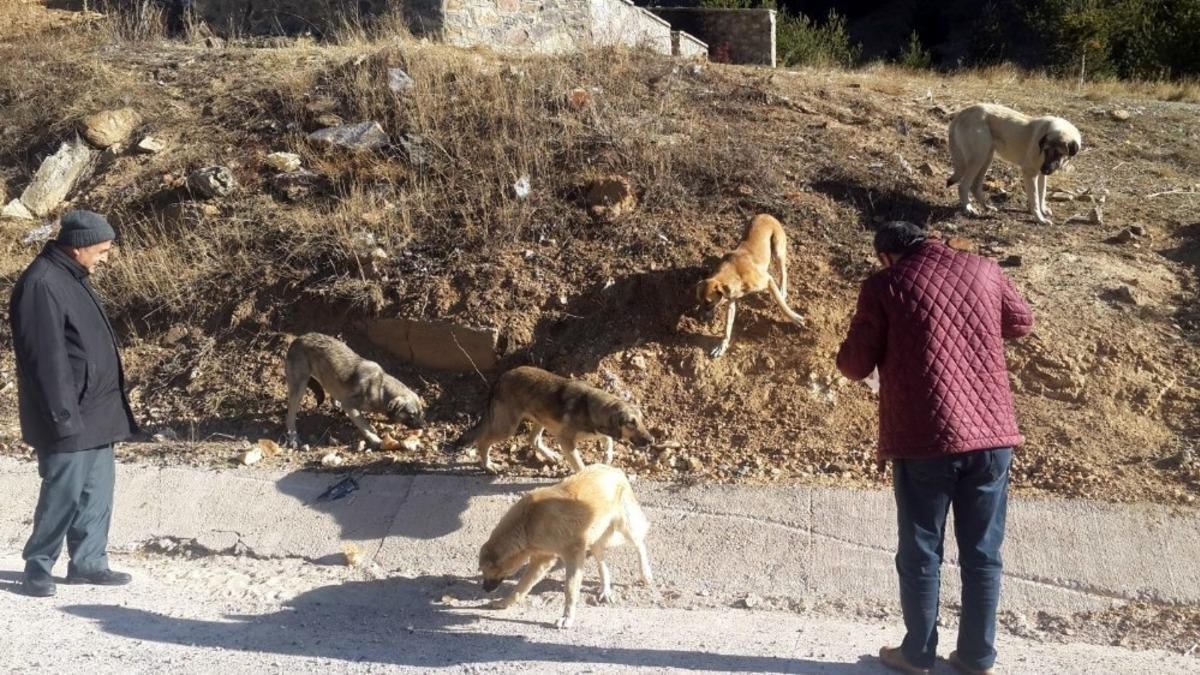 &Ouml;zel İdare &ccedil;alışanlarından &ouml;rnek davranış