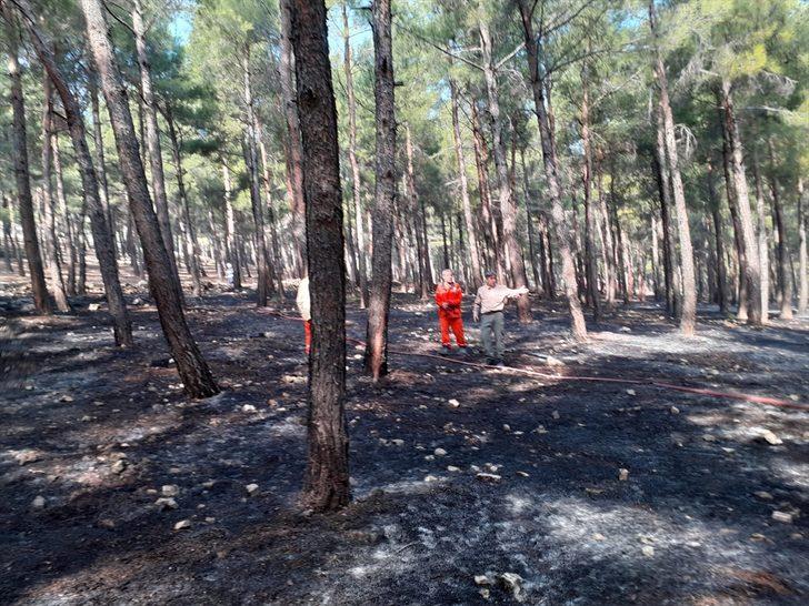 Kahramanmaraş'ta çıkan orman yangınında 2 hektar alan zarar gördü G1