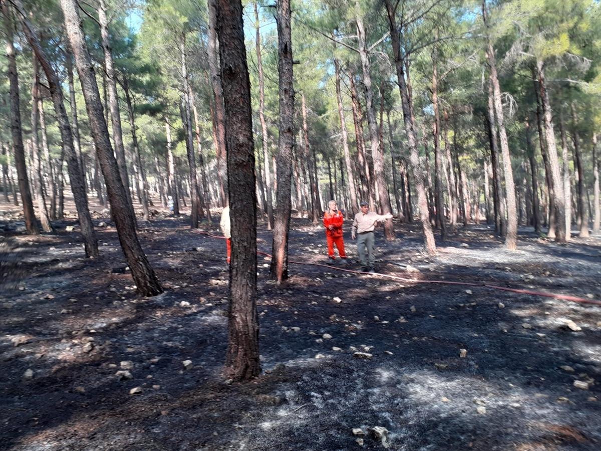 Kahramanmaraş'ta &ccedil;ıkan orman yangınında 2 hektar alan zarar g&ouml;rd&uuml;