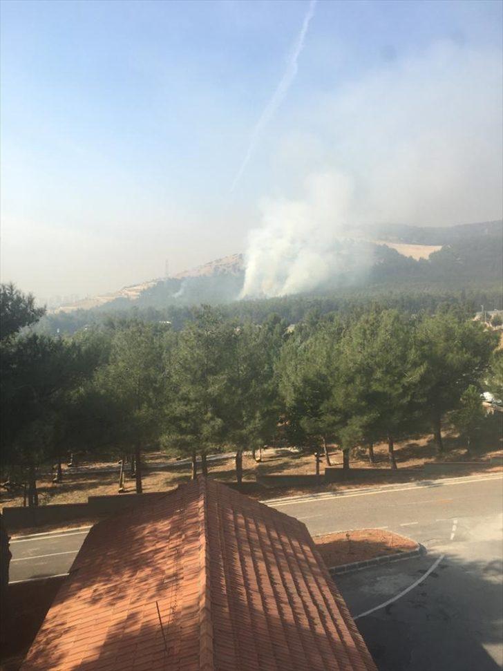 Kahramanmaraş'ta çıkan orman yangınında 2 hektar alan zarar gördü G2