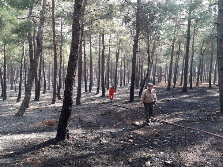 Kahramanmaraş'ta çıkan orman yangınında 2 hektar alan zarar gördü G3
