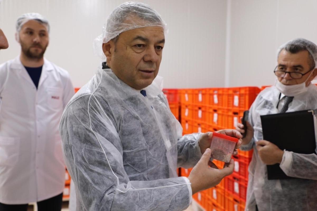 Antalya&rsquo;da &uuml;r&uuml;n bazlı gıda denetimi