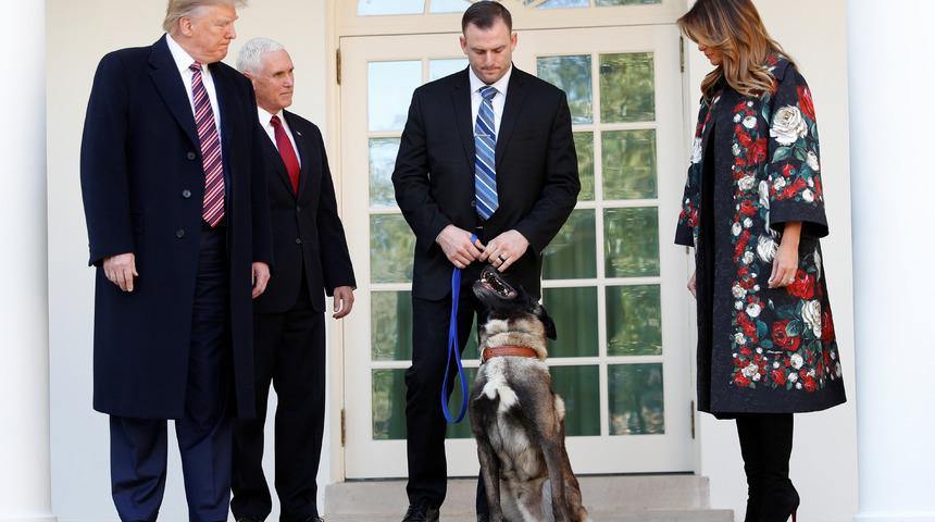 Trump'tan Bağdadi operasyonunda görevli köpeğe plaket ve madalya