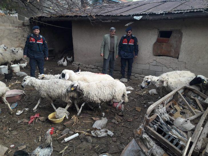 Konya'da hayvan hırsızlığı G3