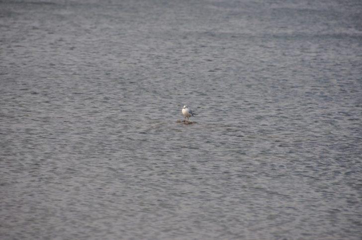 İznik'te su altı müzesi olacağı açıklanmıştı, kalıntıları suyun üzerine çıktı G4