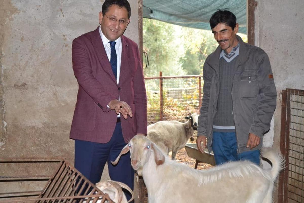 Hibe desteği ile hayvancılığa başladı