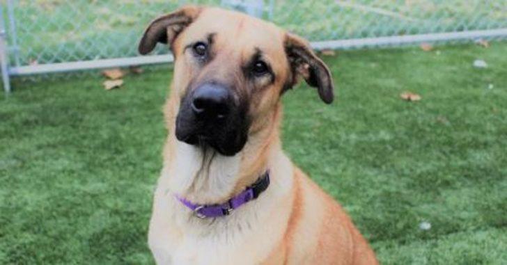 Kedi yavrularını soğuktan korumak için yaptığı yürekleri ısıttı! G1