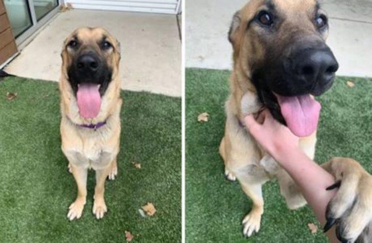 Kedi yavrularını soğuktan korumak için yaptığı yürekleri ısıttı! G3