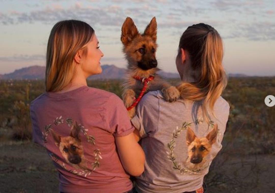 Onu g&ouml;ren şoke oluyor! İşte c&uuml;ce k&ouml;pek