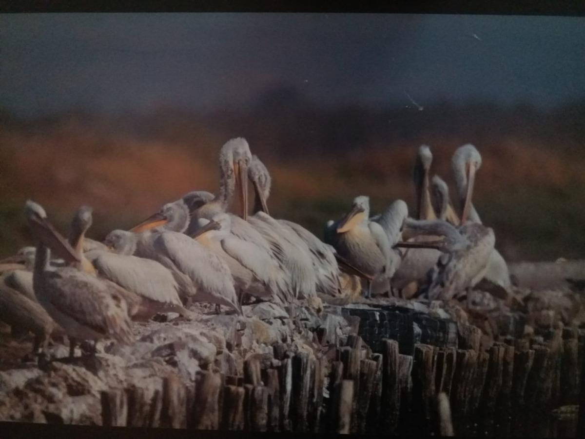 Gediz Deltasının geleceği ele alındı