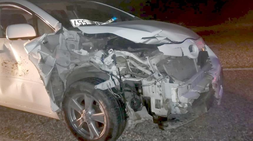 Otomobilin &ccedil;arptığı domuz telef oldu