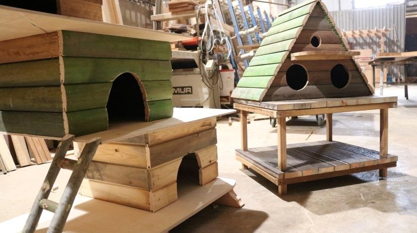 B&uuml;y&uuml;kşehir&rsquo;den kedi ve kuş evleri