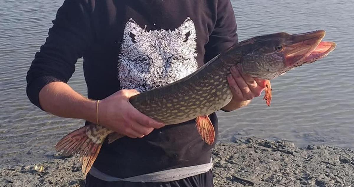 Ka&ccedil;ak avcılığa g&ouml;z a&ccedil;tırılmıyor