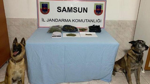 Bafra ve Alaçam’da uyuşturucu operasyonu: 1 gözaltı