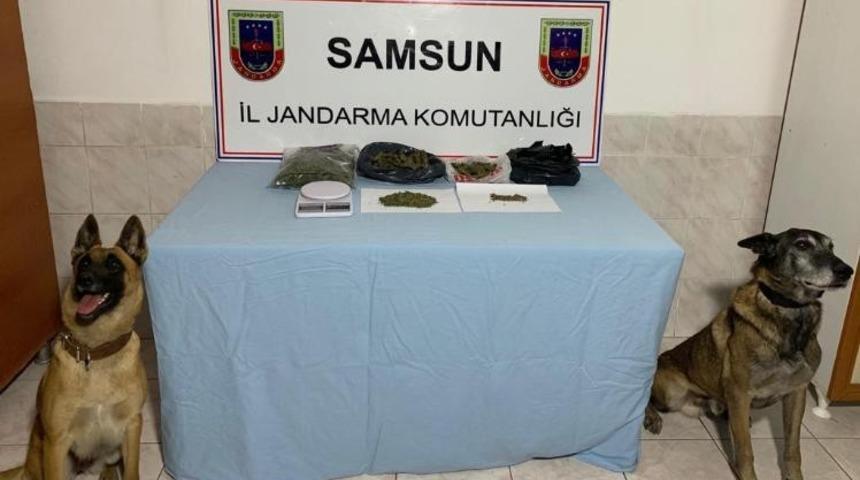 Bafra ve Ala&ccedil;am&rsquo;da uyuşturucu operasyonu: 1 g&ouml;zaltı