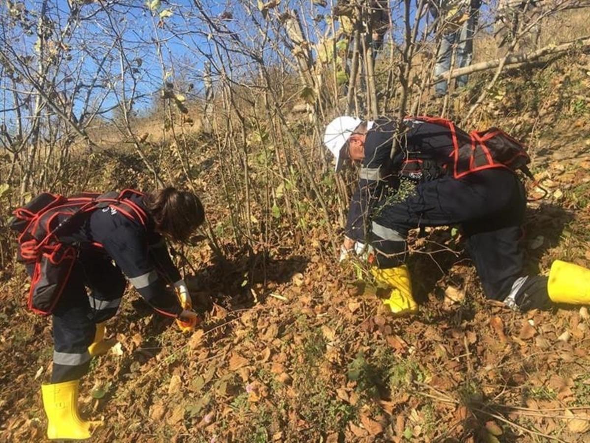 Fındık timleri 20 g&uuml;nde 400 &ouml;rnek bah&ccedil;e oluşturdu