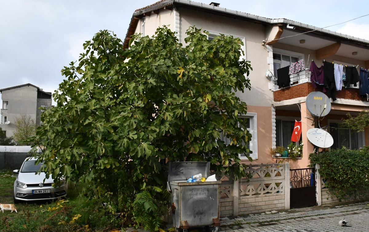 Sivrisinek ısırığı sonrası hayatını kaybetmişti! Acı detaylar ortaya &ccedil;ıktı