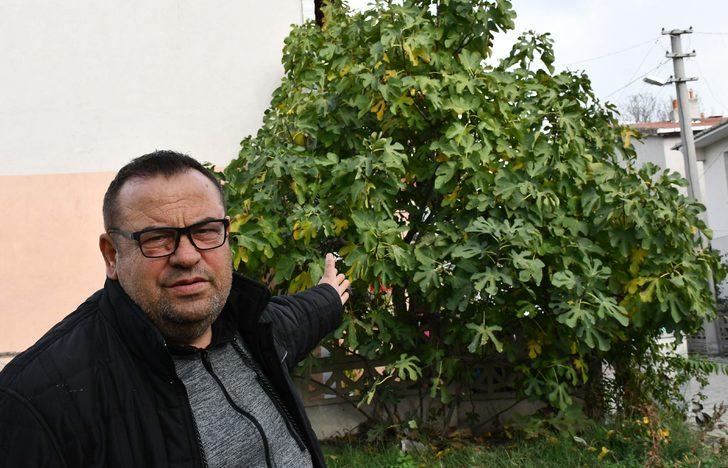 Sivrisinek ısırığı sonrası hayatını kaybetmişti! Acı detaylar ortaya çıktı G3