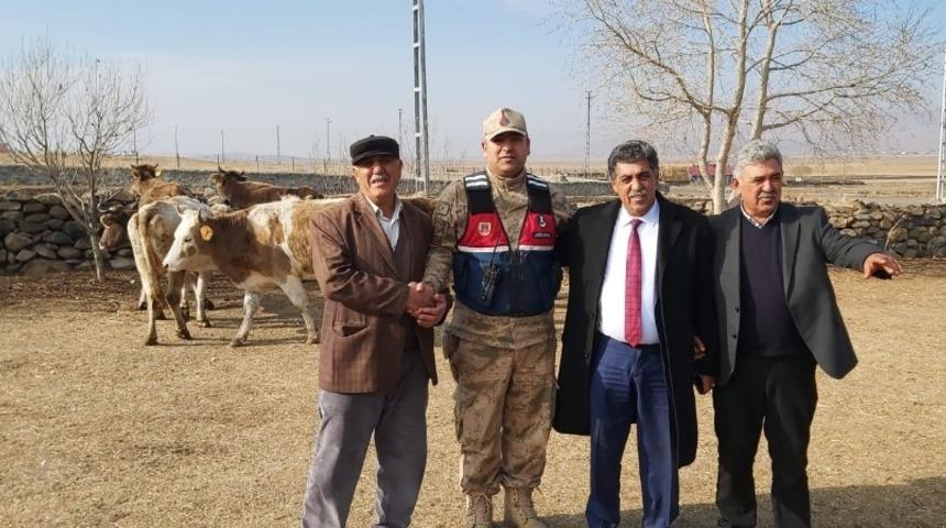 &Ccedil;alınan hayvanlar sahibine teslim edildi