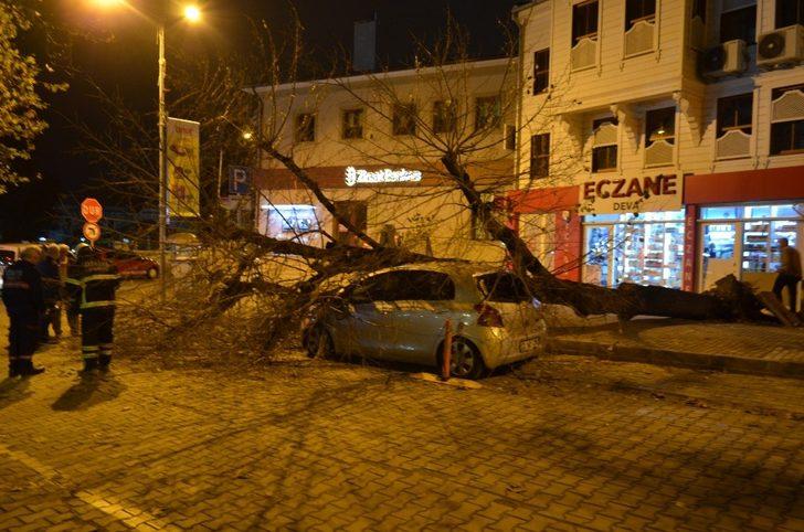 Gece yarısı korku dolu anlar! Dev ağaç otomobilin üzerine devrildi G1