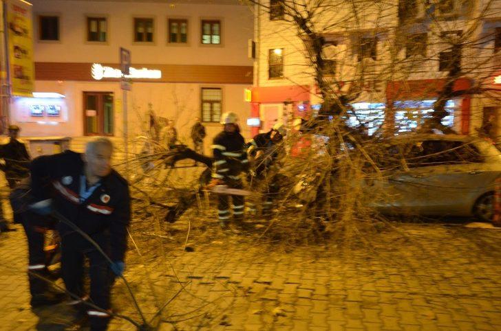 Gece yarısı korku dolu anlar! Dev ağaç otomobilin üzerine devrildi G2