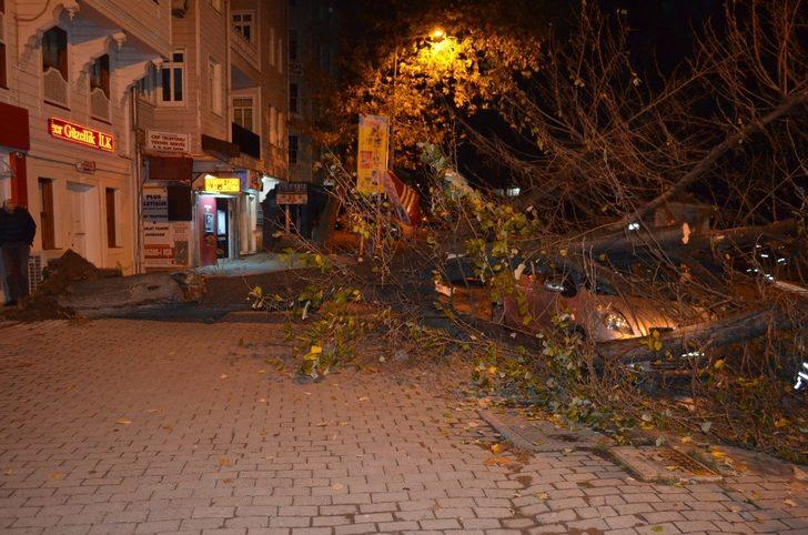 Gece yarısı korku dolu anlar! Dev ağaç otomobilin üzerine devrildi G4
