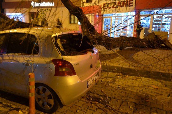 Gece yarısı korku dolu anlar! Dev ağaç otomobilin üzerine devrildi G5