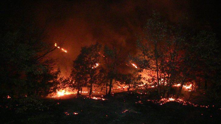 Kahramanmaraş'ta orman yangını G3