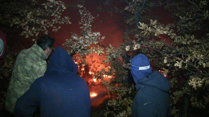 Kahramanmaraş'ta orman yangını G4