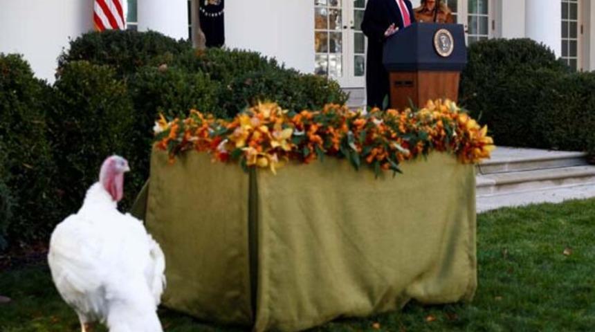 ABD Başkanı Trump, Şükran Günü için iki hindiyi affetti