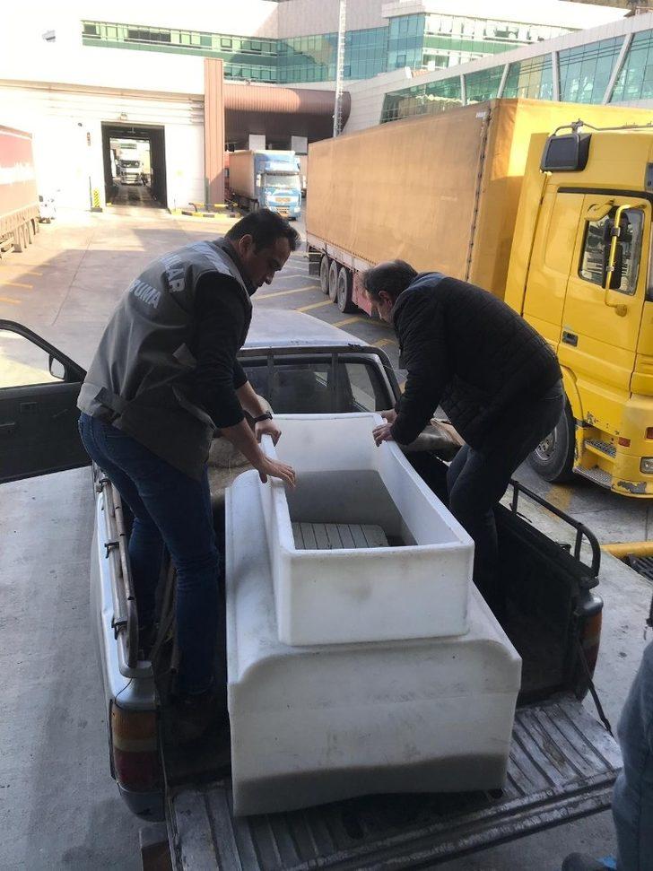 Sınır kapısında yakalandılar! 3 bin 400 su kaplumbağasını pizza kutularına saklamışlar G5