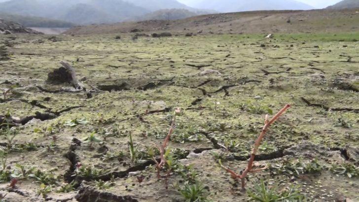 Karaalioğlu: Yalova'nın Ocak ayına kadar suyu kaldı G3