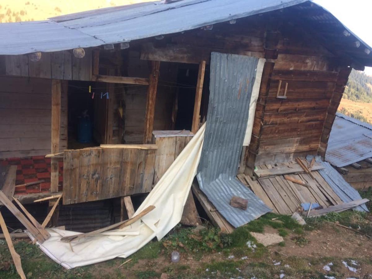 Artvin&rsquo;de yayla evlerine ayı baskını
