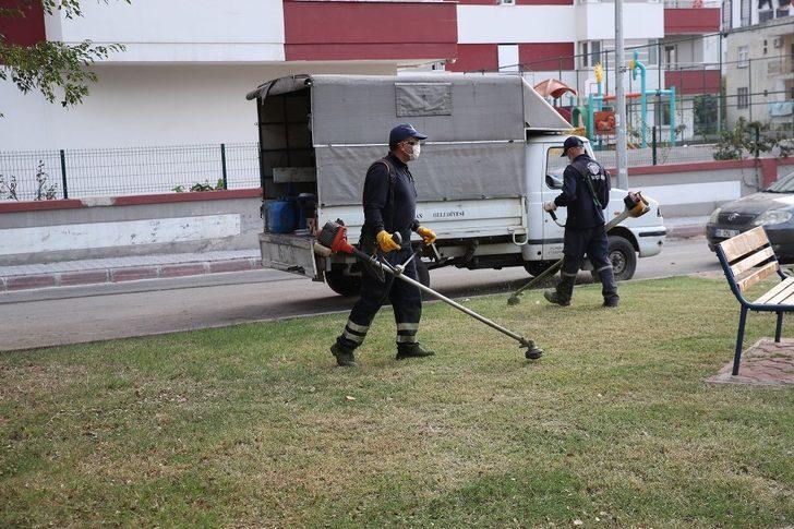 Seyhan’da budama, bakım-onarım, yenileme çalışmaları G3
