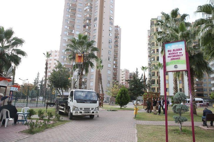 Seyhan’da budama, bakım-onarım, yenileme çalışmaları G4