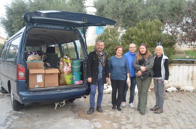 Didimliler sokak hayvanlarına sahip çıkıyor