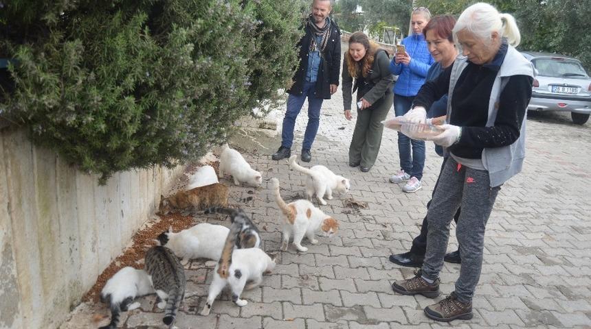 Didimliler sokak hayvanlarına sahip çıkıyor