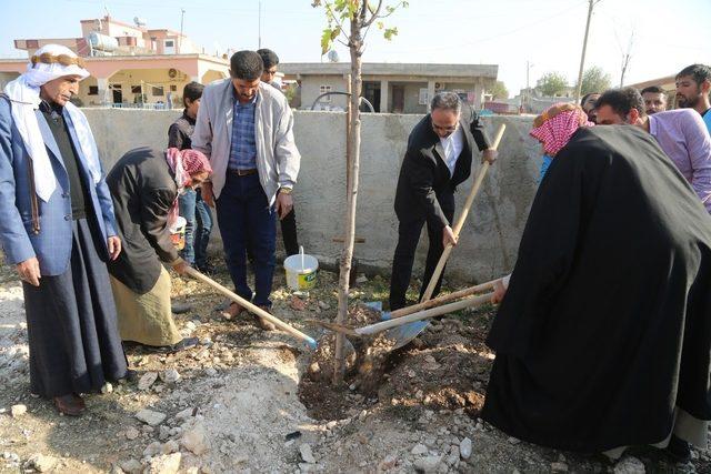 Başkan Kuş öğretmenlerle fidan dikti