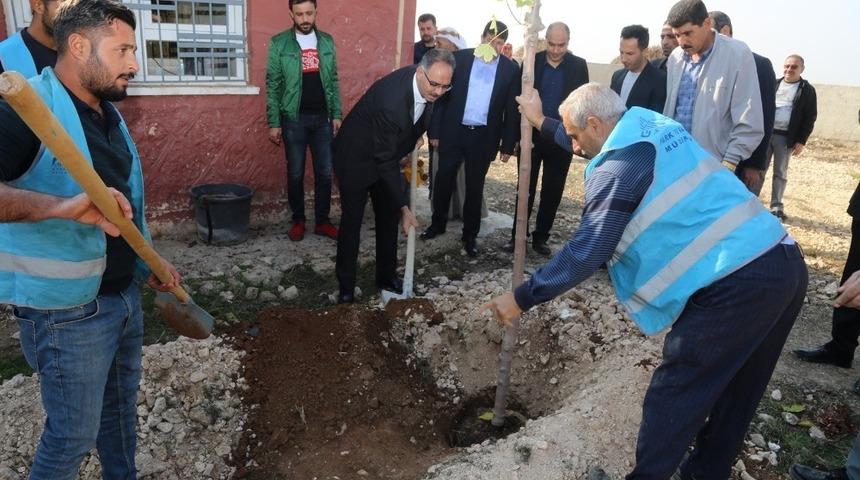 Başkan Kuş &ouml;ğretmenlerle fidan dikti