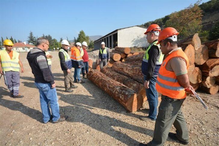 Bölge Müdürü Keskin, orman depolarında incelemelerde bulundu G2