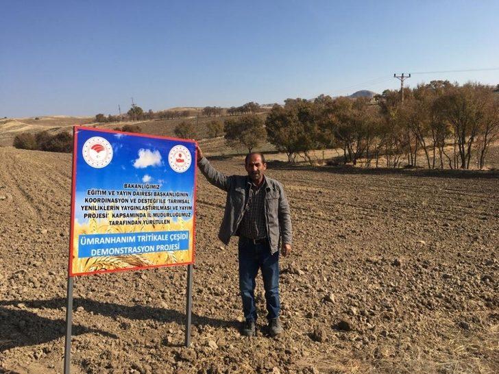 Tunceli’de tritikale demonstrasyonu için ekimler yapıldı G3