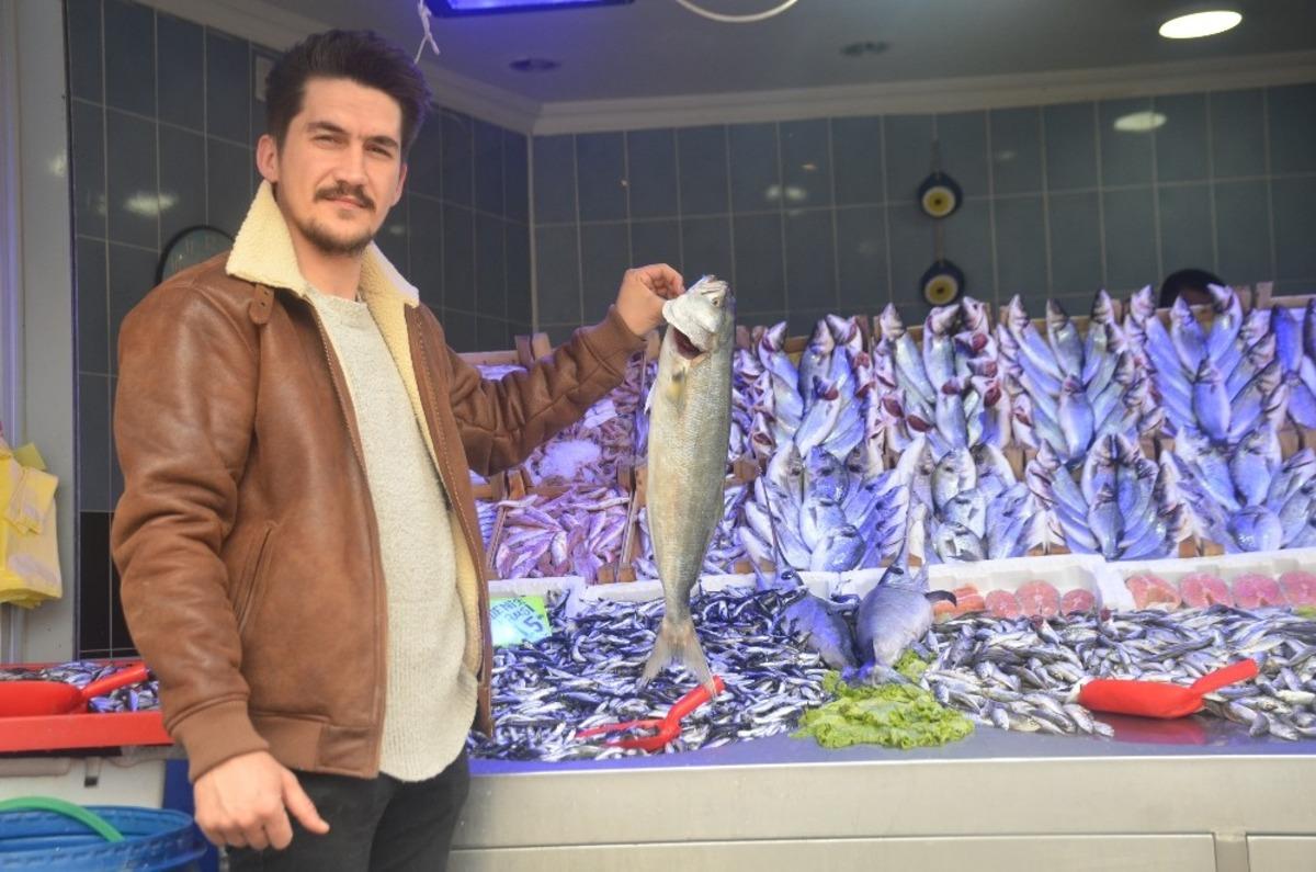 Vatandaşlar bu sene hamsi ve palamuda hasret kaldı