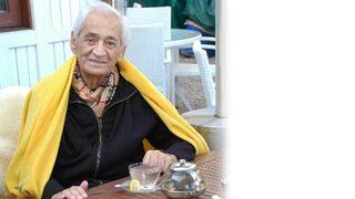 Bitkisel hayata girerim daha iyi