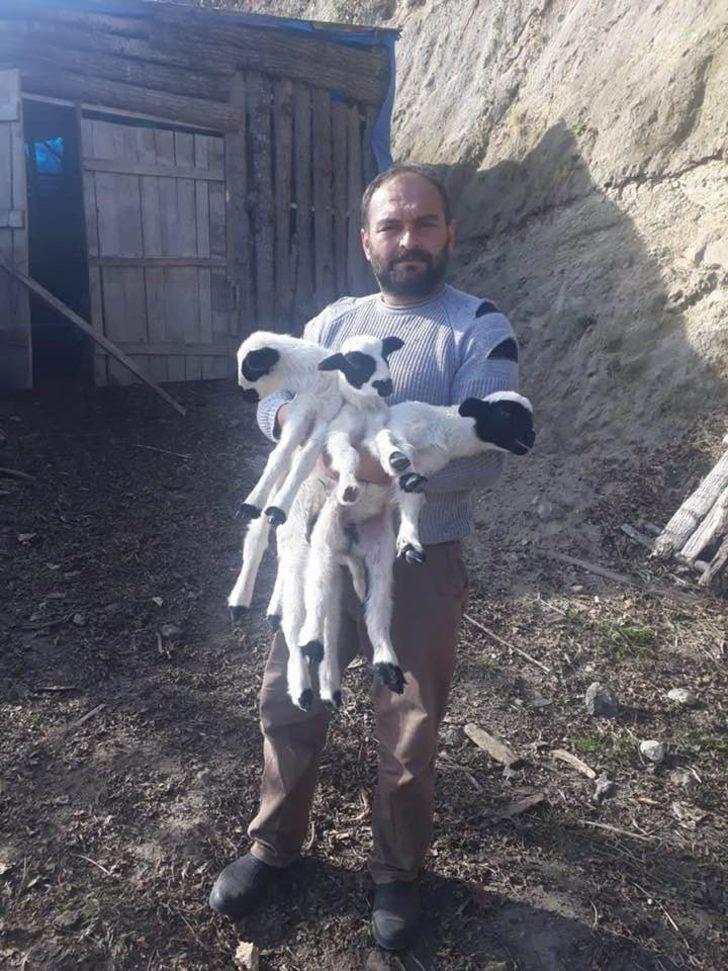 Ordu’da Hilmi Güler’in projesi meyvesini veriyor G2