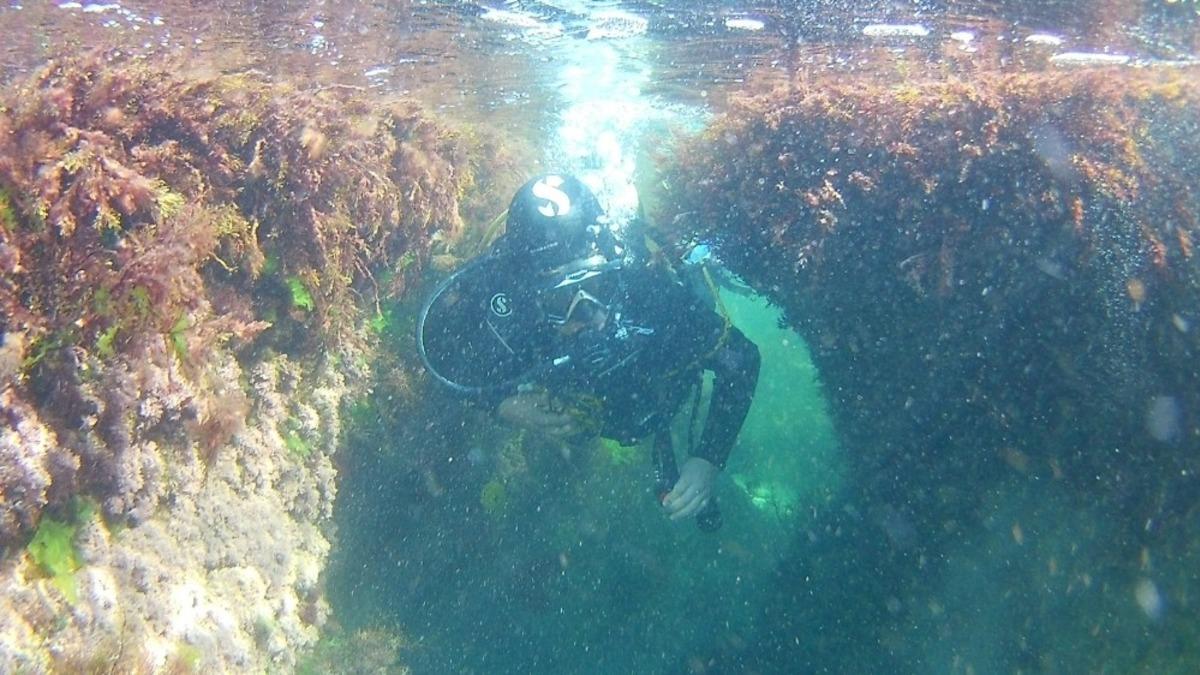 Ordu&rsquo;da 6 nokta sualtı parkur alanı ilan edildi