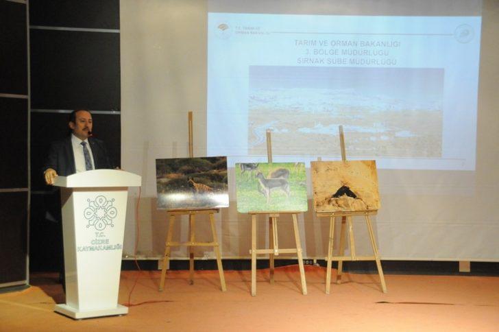 Cizre’de Cudi Dağı Ceylan Yerleştirme Sahası Projesi G2