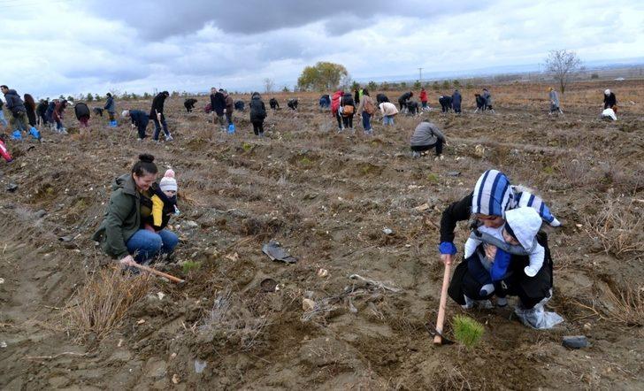 4 bin bebek için 4 bin fidan G2