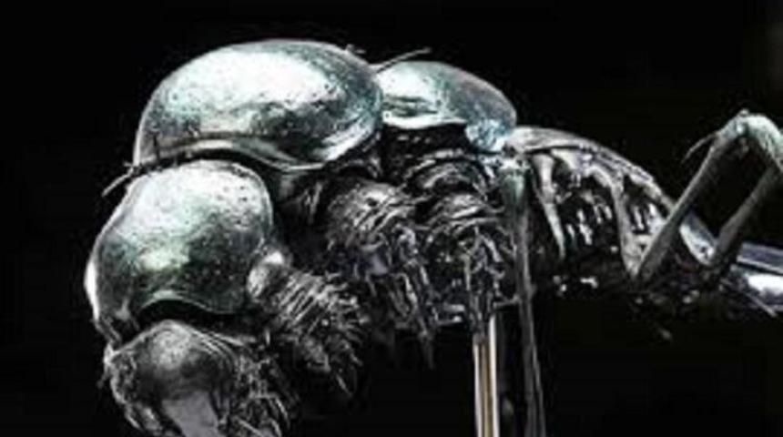 Çok ilginç iddia: Mars'ta böcek bulundu